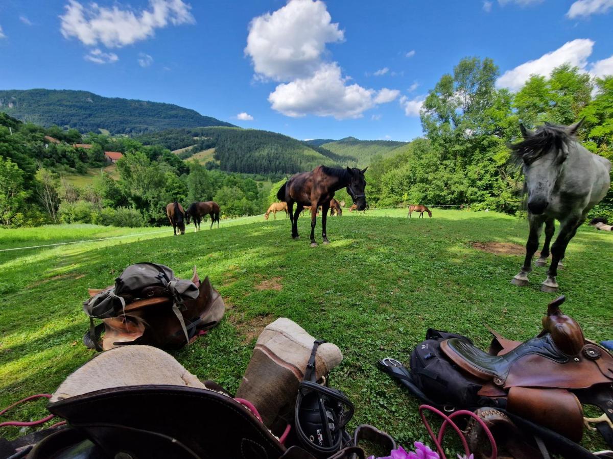 Dome Home Tents Taor Valjevo Eksteriør billede