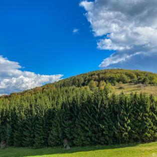 Dome Home Tents Taor Valjevo Eksteriør billede